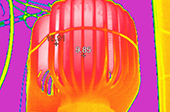 福祿克紅外熱像儀在消防檢測的應(yīng)用