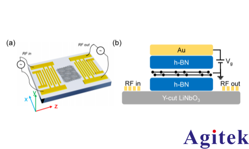 賽恩科儀OE2052鎖相放大器在表面聲波調(diào)控摩爾系統(tǒng)量子態(tài)研究中的應用(圖1)