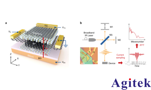 鎖相放大器OE1022在黑磷中激子Mott金屬絕緣體轉(zhuǎn)變測量中的應(yīng)用(圖1)