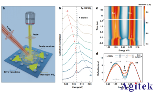 雙通道鎖相放大器OE1022D應用在“非線性”等離激元激子極化激元研究(圖1)